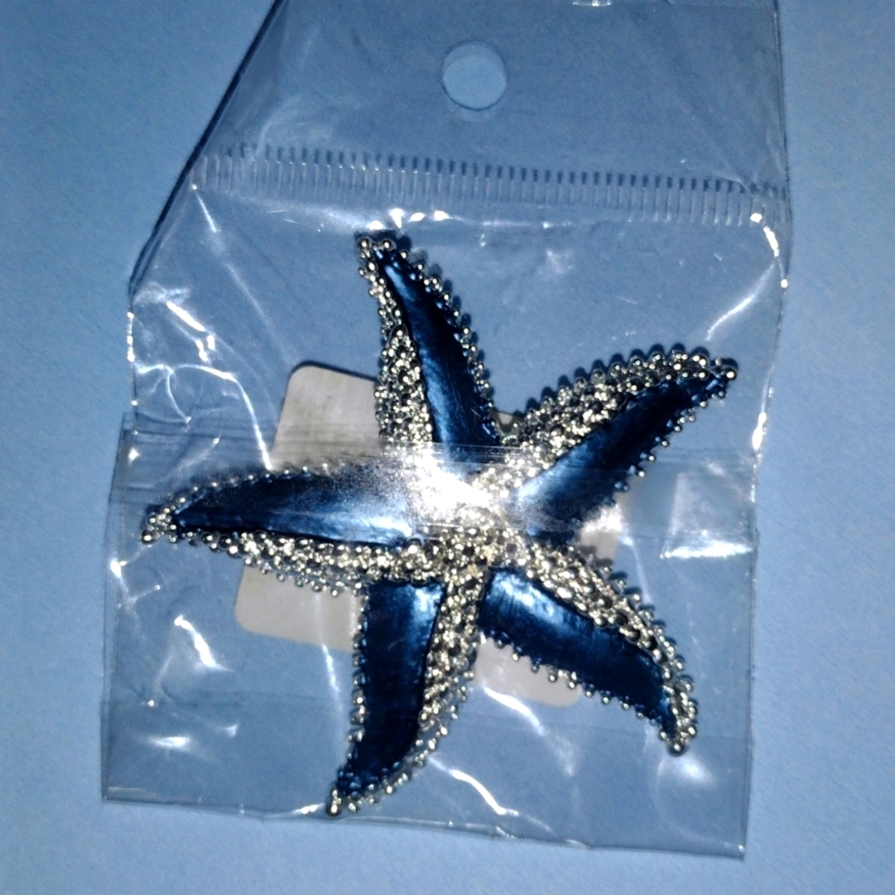 Brooch: D&Rui Blue & Silver Starfish